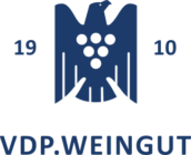 Vdp logo blau